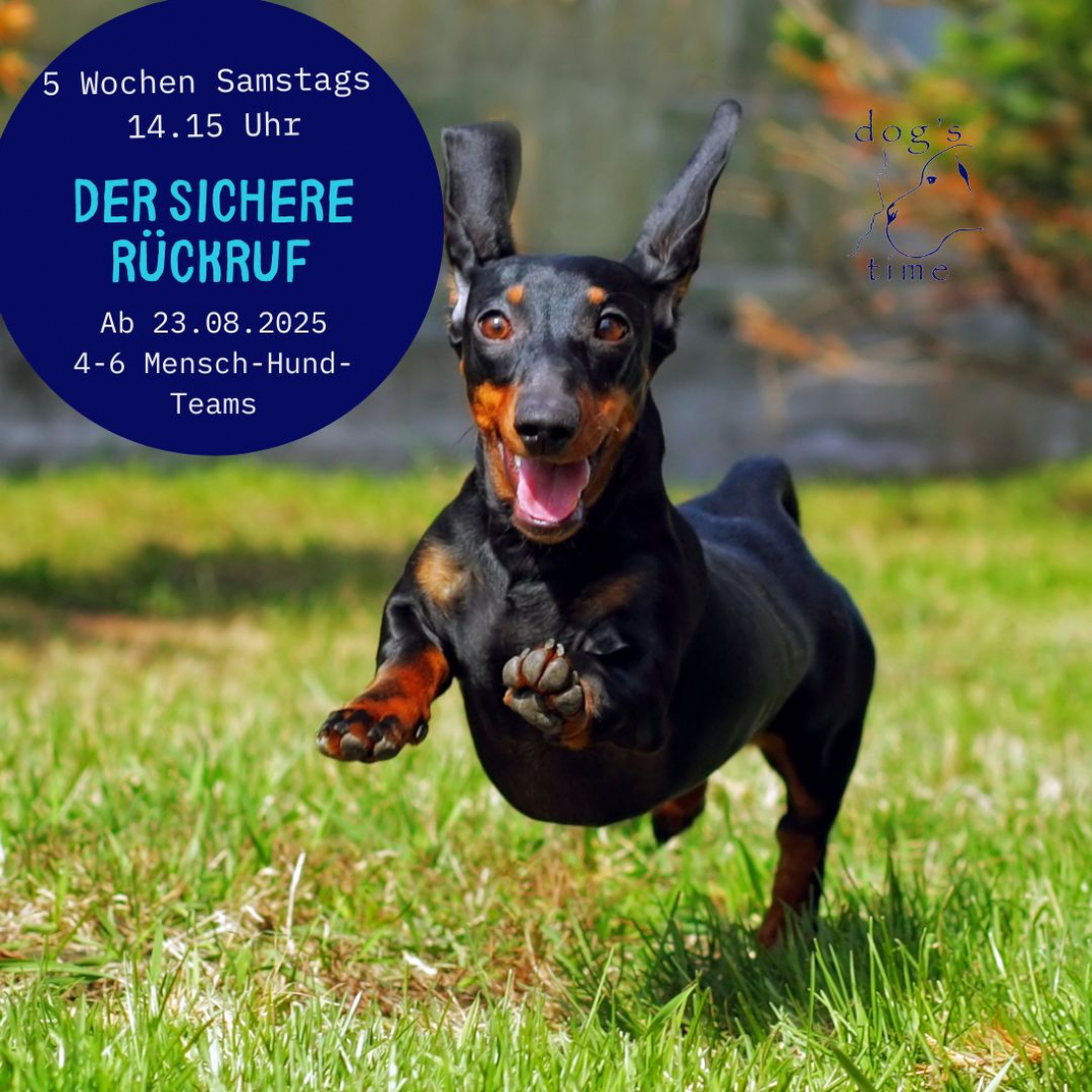 Erziehung - benimm dich 